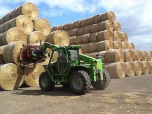 Agricultural Workers' Rights in the United Kingdom