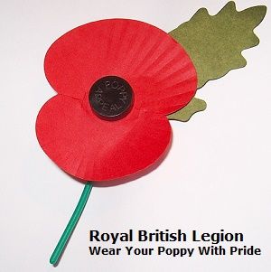 Poppy Etiquette: Why Do We Use Poppies to Remember the War?
