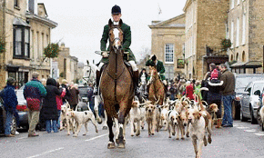 Fox Hunting Rules in England and the United Kingdom