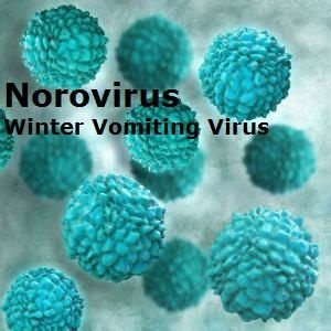 Winter Vomiting Virus: Norovirus Symptoms and Treatment