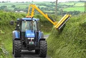 How to establish and manage hedgerows in the United Kingdom.